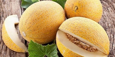 Kolektivni farmer dinje: fotografija, opis, koristi i štete